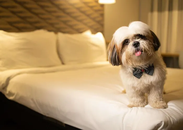 ibis Juazeiro do NorteHotel Em